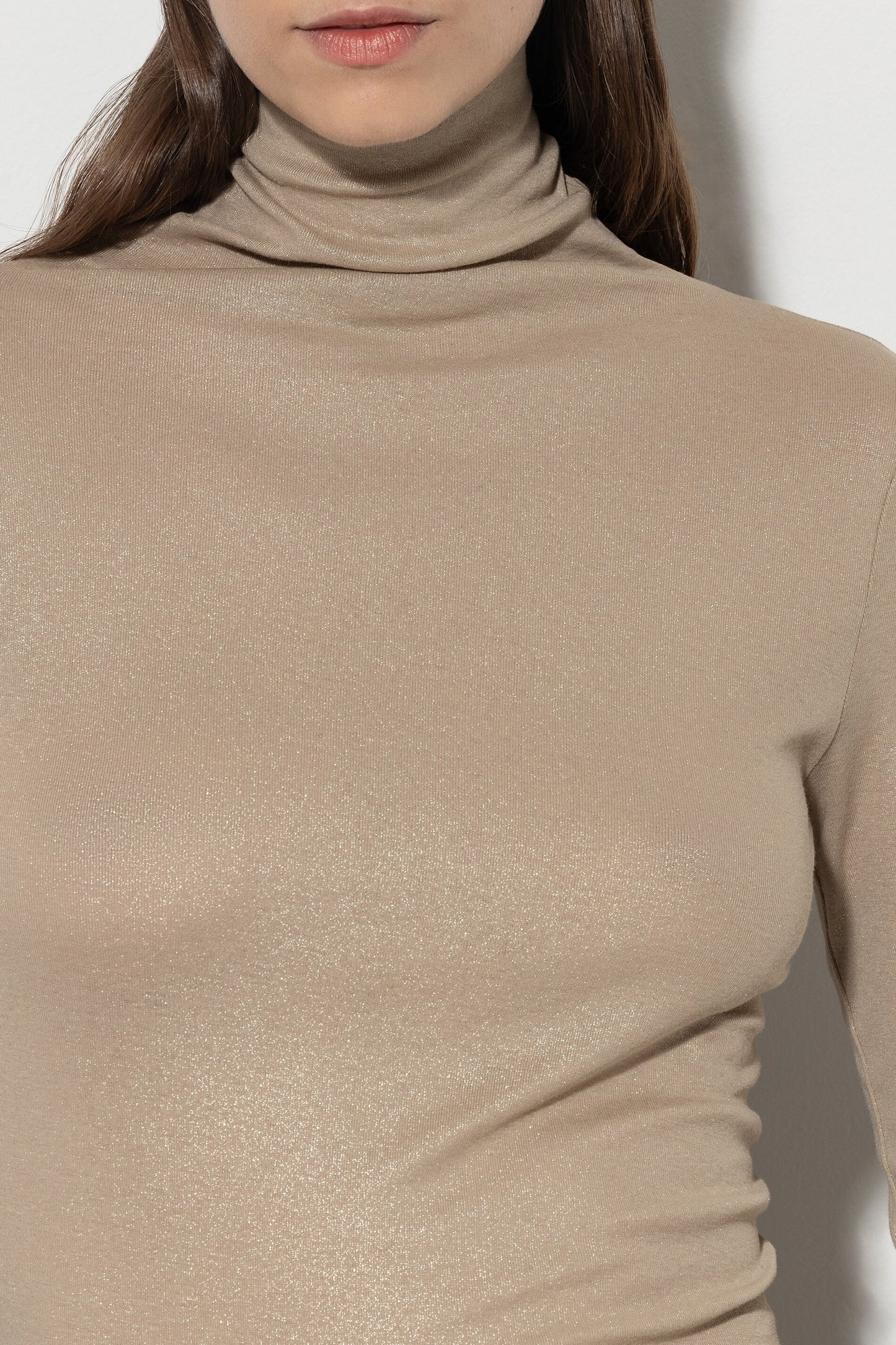 Glitter Turtleneck Shirt