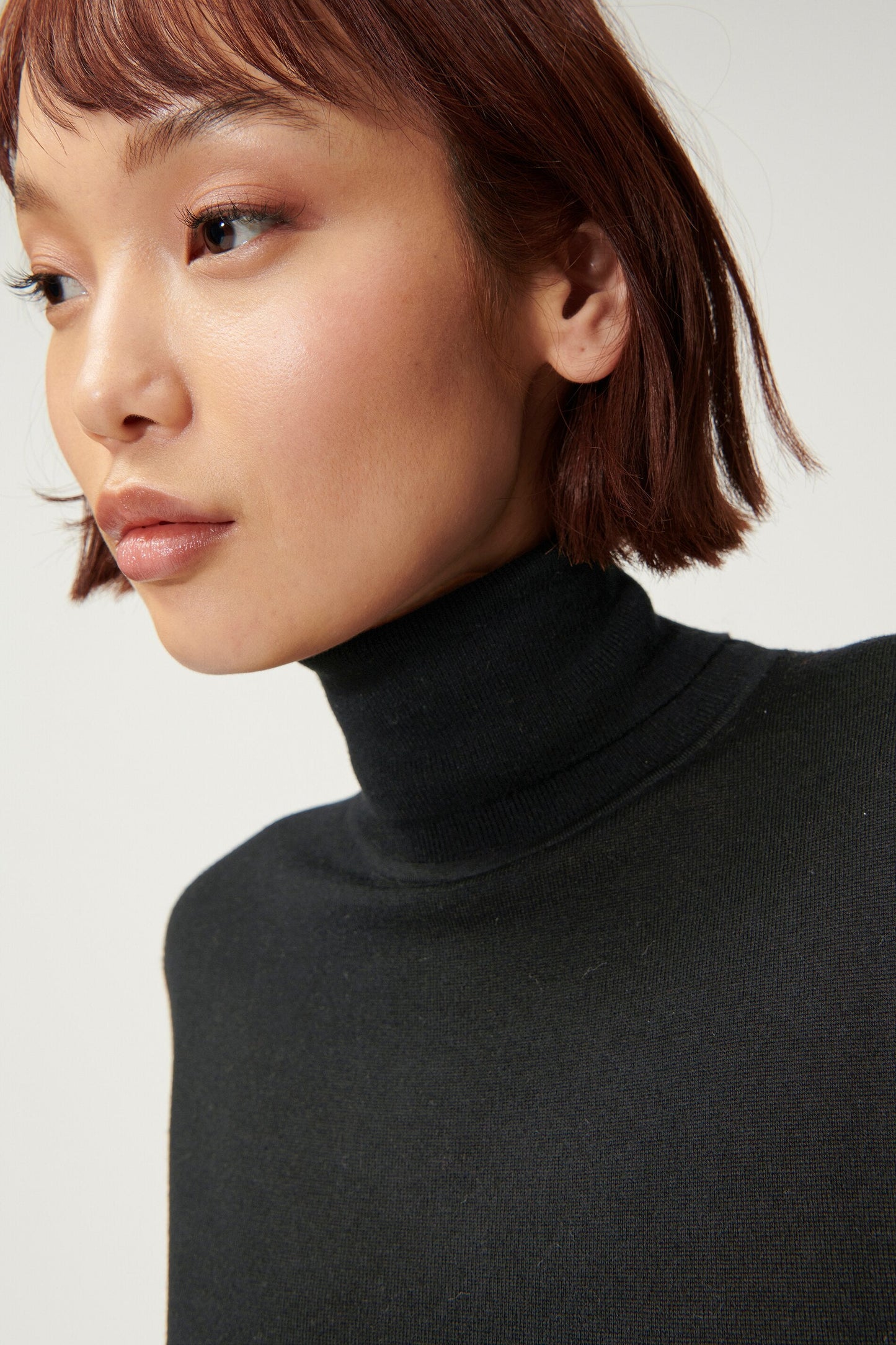 Wool Blend Turtleneck Sweater